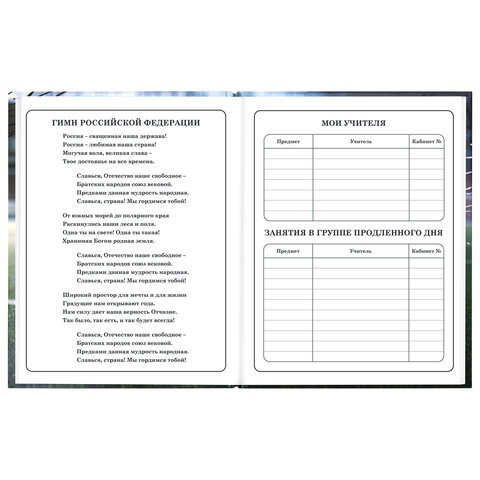 Дневник 1-4 класс 48 л., твердый, ЮНЛАНДИЯ, глянцевая ламинация, с подсказом, "Футбол", 107583 - фото 6