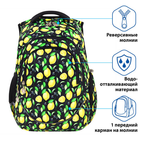 Рюкзак BRAUBERG SPECIAL, "Lemons", 44х30х13 см, 270671 - фото 10