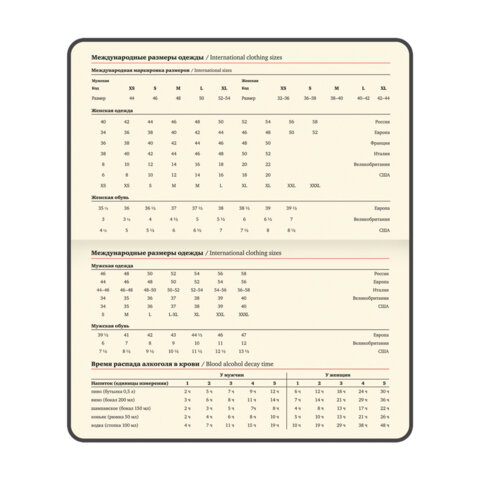 Еженедельник датированный 2026 МАЛЫЙ ФОРМАТ 95х155 мм, А6, BRAUBERG "Augustus", под кожу, голубой, 117185 - фото 10