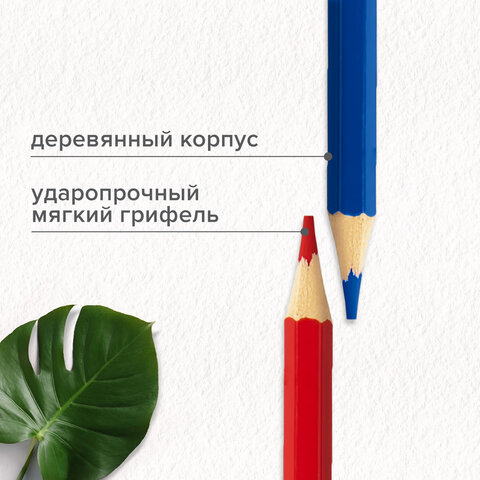Карандаши цветные супермягкие яркие BRAUBERG MAX, 100 цветов, шестигранные, грифель 3,3 мм, натуральное дерево, 181862 - фото 13