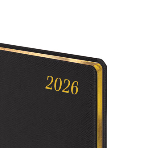 Еженедельник датированный 2026, БОЛЬШОЙ ФОРМАТ 210х297 мм, А4, BRAUBERG "Iguana", под кожу, черный, 117153 - фото 3