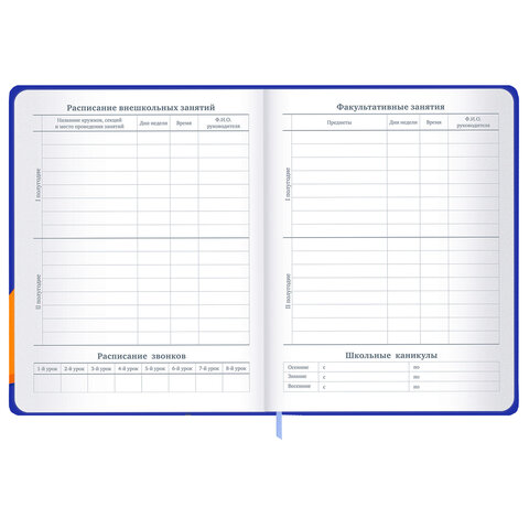 Дневник 1-11 класс 48 л., твердый, BRAUBERG, матовая ламинация, резинка, закладка-ляссе, с подсказом, "Гусь", 107237 - фото 11