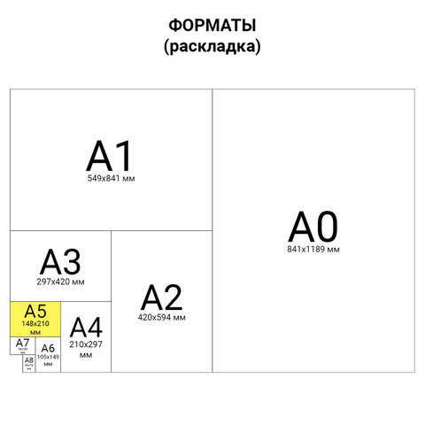 Тетрадь предметная "AVOCADO" 48 л., глянцевый лак, ФИЗИКА, клетка, BRAUBERG, 404283 - фото 9