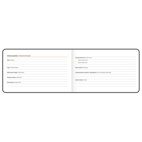 Еженедельник датированный 2026 МАЛЫЙ ФОРМАТ 105х160 мм, А6, BRAUBERG "Blaze", фольга, голубой, 117214 - фото 4