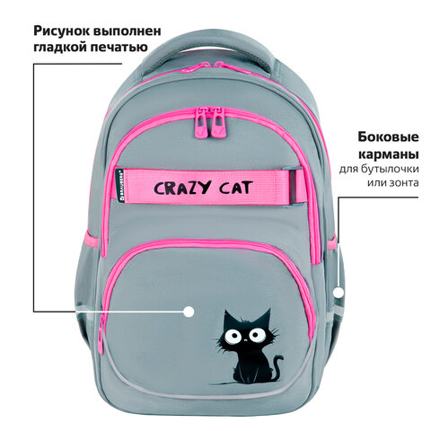 Рюкзак BRAUBERG MOTION, 2 отделения, 3 кармана, "Crazy cat", 41х28х17 см, 273115 - фото 11