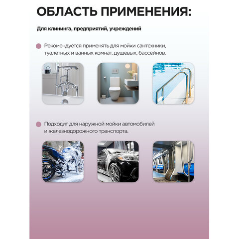 Профхим сантех кисл конц. д/уборки сантехники,с дез-эфф МЕГА/МЕГАСАН,1л - фото 4