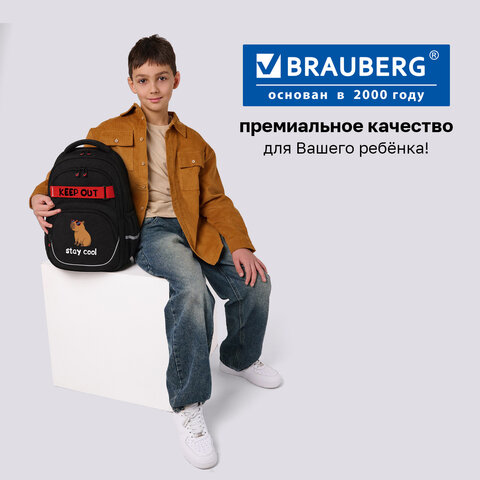 Рюкзак BRAUBERG MOTION, 2 отделения, 3 кармана, "Капибара", СВЕТЯЩИЙСЯ, 41х28х17 см, 272032 - фото 19