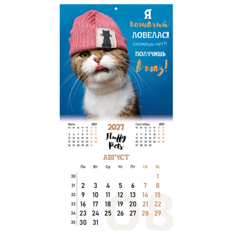 Календарь настенный перекидной 2027 г., BRAUBERG, 12 листов, 28,5х57 см, "Смешные котики", 118430 - фото 13
