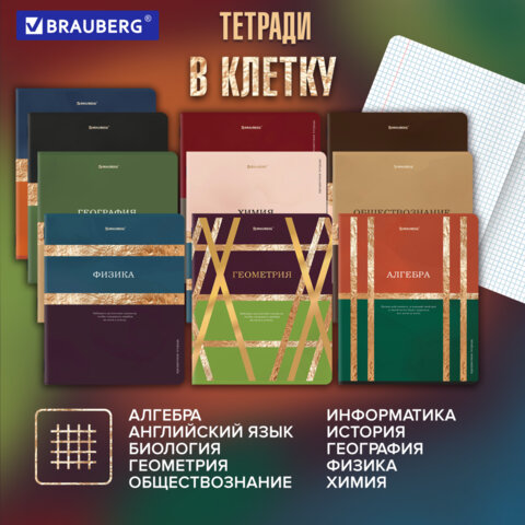 Тетради предметные, КОМПЛЕКТ 12 ПРЕДМЕТОВ, 48 л., матовая ламинация, фольга, BRAUBERG "GOLDY", 405178 - фото 19