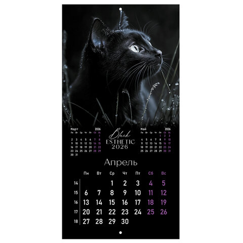 Календарь настенный перекидной 2026 г., BRAUBERG, 12 листов, 28,5х28,5 см, "Black esthetic", 116927 - фото 7