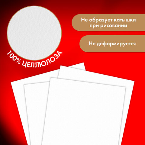 Бумага для акварели 300 г, 270x390 мм, мелкое зерно, 10 листов, BRAUBERG ART PREMIERE, 115334 - фото 6
