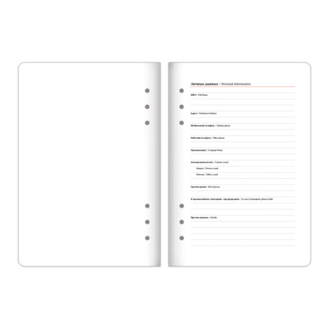 Ежедневник-органайзер недатированный B5 167х240 мм, BRAUBERG "Nova", под кожу, 160 л., голубой, 116201 - фото 8