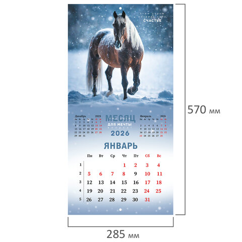 Календарь настенный перекидной 2026 г., BRAUBERG, 12 листов, 28,5х28,5 см, "Благородные лошади", 116932 - фото 3