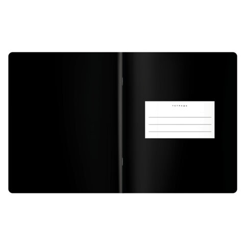 Тетрадь предметная BLACK MODE 48 л., пластиковая обложка, ОБЩЕСТВОЗНАНИЕ, клетка, подсказ, BRAUBERG, 405515 - фото 3
