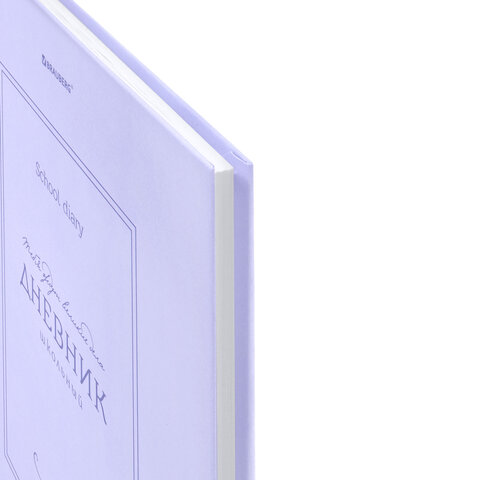 Дневник 5-11 класс 48 л., твердый, BRAUBERG, матовая ламинация, с подсказом, "Классика", 107610 - фото 4