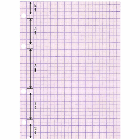 Сменный блок для тетради на кольцах, А5, 120 л., BRAUBERG, 4 цвета по 30 листов, 404614 - фото 3