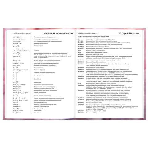 Дневник 5-11 класс 48 л., твердый, BRAUBERG, матовая ламинация, с подсказом, "Пушистые Сердечки", 107611 - фото 13