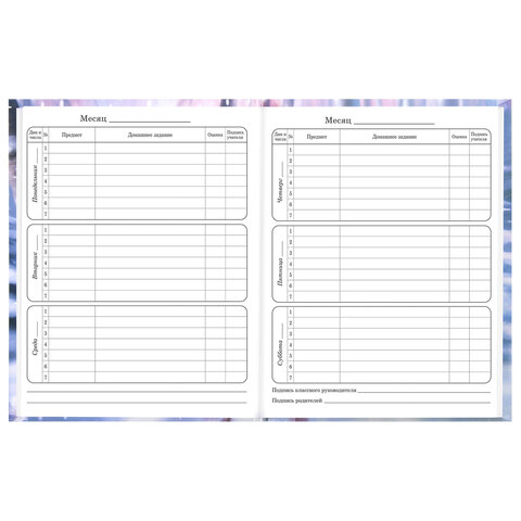 Дневник 1-4 класс 48 л., твердый, BRAUBERG, глянцевая ламинация, с подсказом, "Winter Cat", 107589 - фото 9