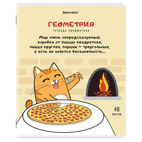 Тетради предметные, КОМПЛЕКТ 12 ПРЕДМЕТОВ, 48 л., TWIN-лак, BRAUBERG, "КОТ-ЭНТУЗИАСТ", 404609 - фото 6