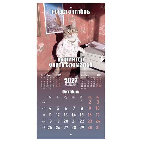 Календарь настенный перекидной 2027 г., BRAUBERG, 12 листов, 21,4х42,8 см, МИНИ, "Vibe meme", 118438 - фото 13