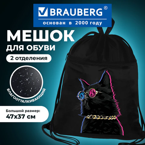 Мешок для обуви BRAUBERG, с петлёй, карман на молнии, 47х37 см, "Movie time", 270910 - фото 7