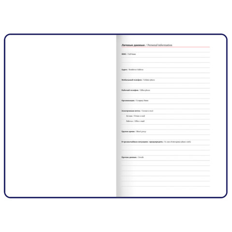 Ежедневник недатированный А5 138х213 мм BRAUBERG "BeStyle", под кожу, резинка, держатель, 160 л., графитовый, 116215 - фото 7