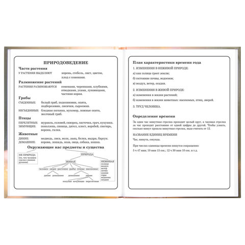 Дневник 1-4 класс 48 л., твердый, ЮНЛАНДИЯ, глянцевая ламинация, с подсказом, "Хомячок", 107579 - фото 16