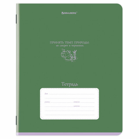 Тетрадь 24 л. BRAUBERG клетка, обложка картон, PHRASES, 107304 - фото 4