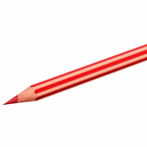 Карандаши цветные BIC "Evolution Stripes", 12 цветов, шестигранные, грифель 9505221 - фото 2