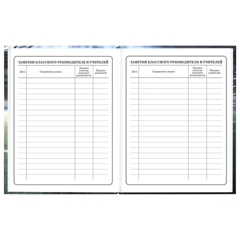 Дневник 1-4 класс 48 л., твердый, ЮНЛАНДИЯ, глянцевая ламинация, с подсказом, "Футбол", 107583 - фото 17