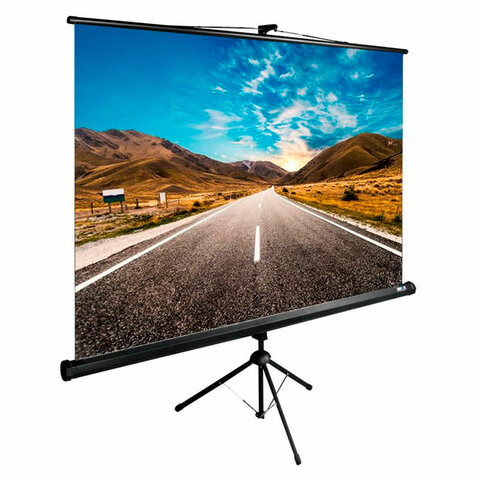 Экран Cactus TriExpert CS-PSTE-160x160-BK, 160x160 см, 1:1, напольный, черный - фото 1