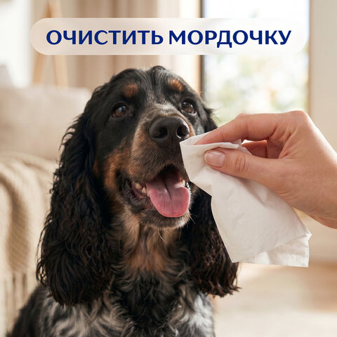 Салфетки косметические 2-слойные в картонном коробе, 250 штук, ZEMMA/ZEWA Everyday, 86791 - фото 26