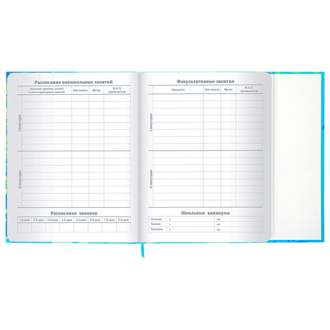 Дневник 1-11 класс 48 л., твердый, BRAUBERG, матовая ламинация, магнитный клапан, закладка-ляссе, с подсказом, "Котик", 107244 - фото 12