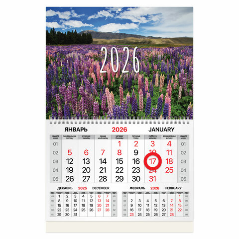 Календарь квартальный 2026 г., 1 блок, 1 гребень, магнитный курсор, мелованная бумага, BRAUBERG, "Люпины", 116915 - фото 1