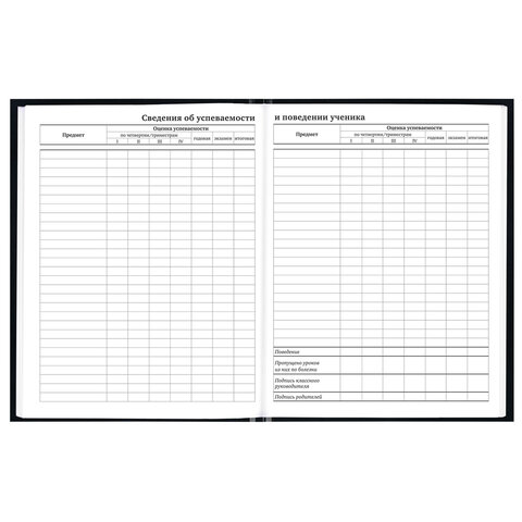 Дневник 1-11 класс 40 л., твердый, BRAUBERG, глянцевая ламинация, "Герб", 107598 - фото 9