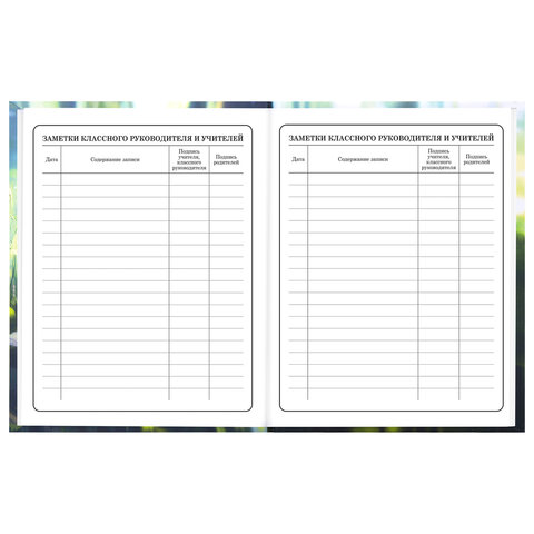 Дневник 1-4 класс 48 л., твердый, BRAUBERG, выборочный лак, с подсказом, "Оленёнок", 107595 - фото 17