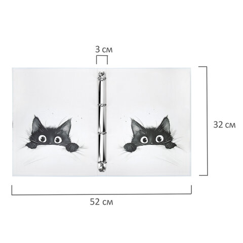 Папка-портфолио универсальная, 4 кольца, 20 файлов, 7БЦ матовая, BRAUBERG "Cat", 107557, 117557 - фото 2