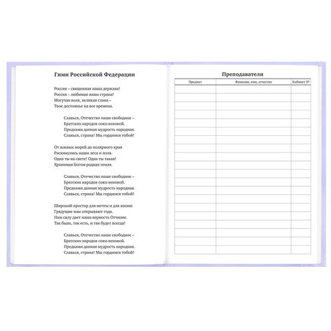 Дневник 5-11 класс 48 л., твердый, BRAUBERG, матовая ламинация, с подсказом, "Классика", 107610 - фото 6