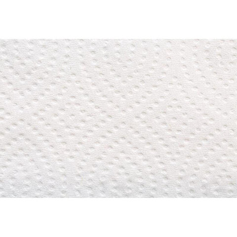 Бумага туалетная FOCUS (T3) Premium, 2 слоя, КОМПЛЕКТ 15 пачек, листовая, 250 листов, V-сложение, 5083735 - фото 4