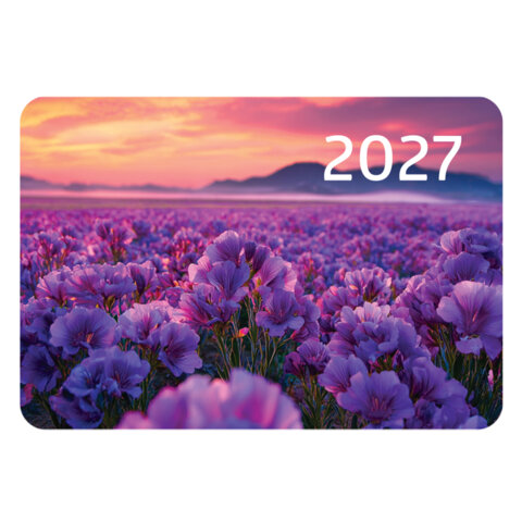 Календарь карманный на 2027 г, BRAUBERG, 64х93 мм, АССОРТИ, 20 дизайнов (60 штук), 118489 - фото 6