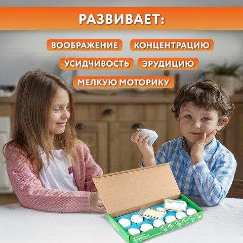 Набор для раскопок "Минералы", 12 видов, карточки, инструменты, BRAUBERG KIDS, 665129 - фото 15