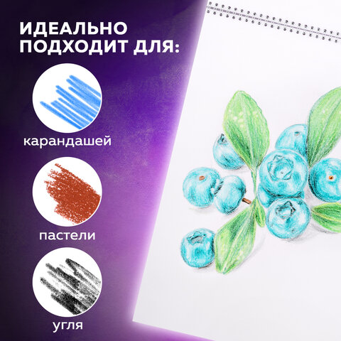 Скетчбук, белая бумага 120 г/м2, 145х205 мм, 40 л., гребень, жёсткая подложка, BRAUBERG ART DEBUT, 110988 - фото 9