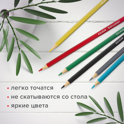 Карандаши цветные мягкие BRAUBERG АКАДЕМИЯ, 6 цветов, шестигранные, грифель 3 мм, натуральное дерево, 181863 - фото 9