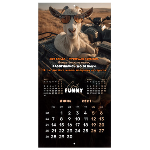 Календарь настенный перекидной 2027 г., BRAUBERG, 12 листов, 28,5х57 см, "Goat calendar", 118417 - фото 11