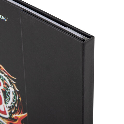 Дневник 1-11 класс 48 л., твердый, BRAUBERG, матовая ламинация, магнитный клапан, закладка-ляссе, с подсказом, "Дракон", 107245 - фото 4