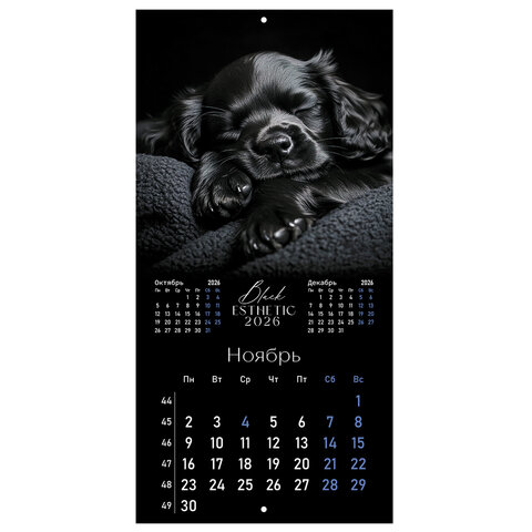 Календарь настенный перекидной 2026 г., BRAUBERG, 12 листов, 28,5х28,5 см, "Black esthetic", 116927 - фото 14