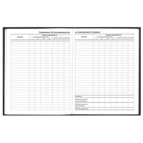 Дневник 5-11 класс 48 л., твердый, FUNSTER (ФАНСТЕР), выборочный лак, с подсказом, "Гусыня-балерина", 107615 - фото 15