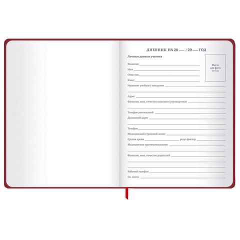 Дневник 1-11 класс 48 л., твердый, BRAUBERG, матовая ламинация, резинка, закладка-ляссе, с подсказом, "Мото", 107236 - фото 8