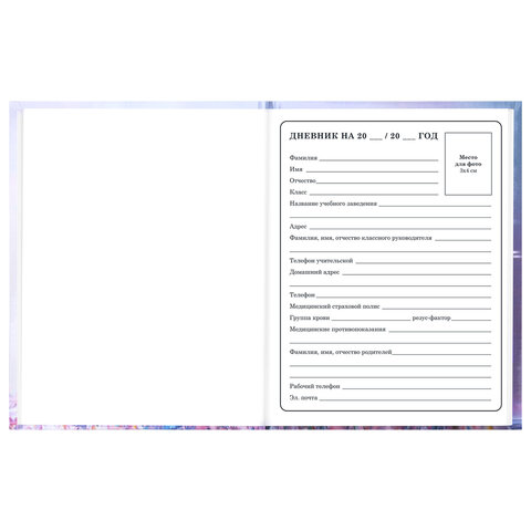 Дневник 1-4 класс 48 л., твердый, BRAUBERG, глянцевая ламинация, с подсказом, "Princess", 107590 - фото 5
