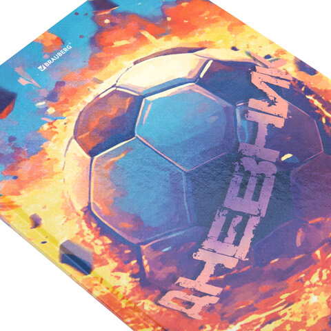 Дневник 5-11 класс 48 л., твердый, BRAUBERG, глянцевая ламинация, с подсказом, "Футбол", 107613 - фото 3